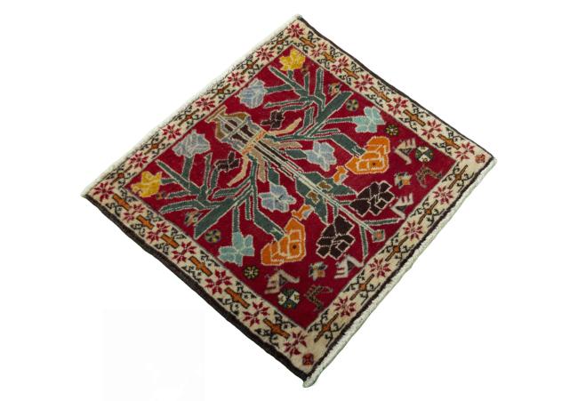 Shiraz - 2