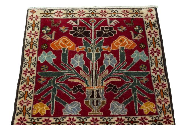 Shiraz - 3