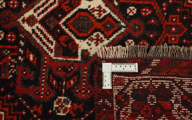 Shiraz - 1