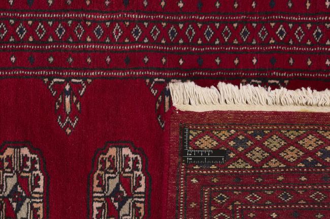 Pakistan Buchara 2ply - 1