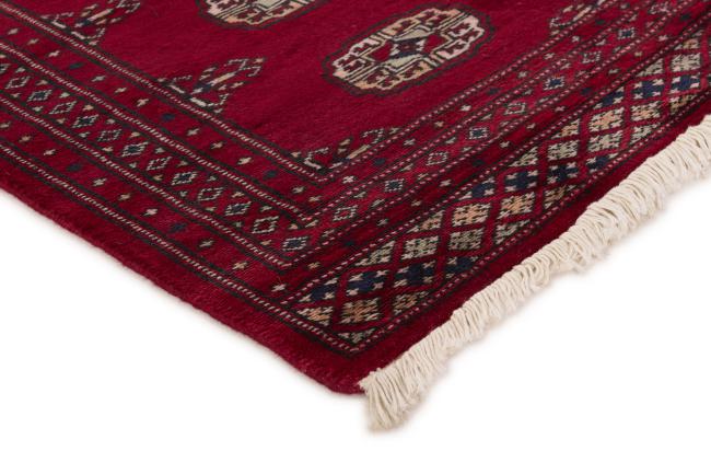 Pakistan Buchara 2ply - 3