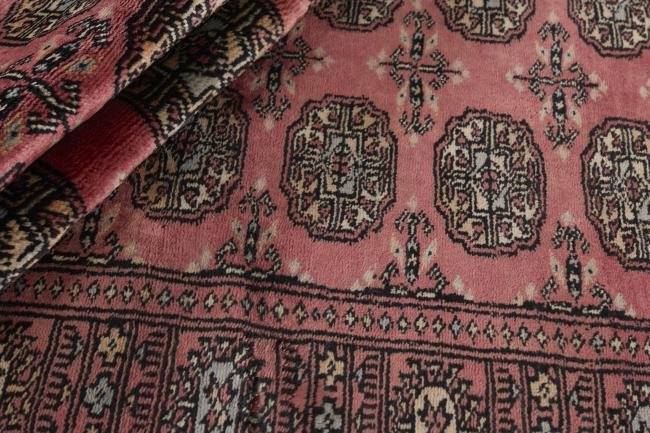 Pakistan Buchara 3ply - 2