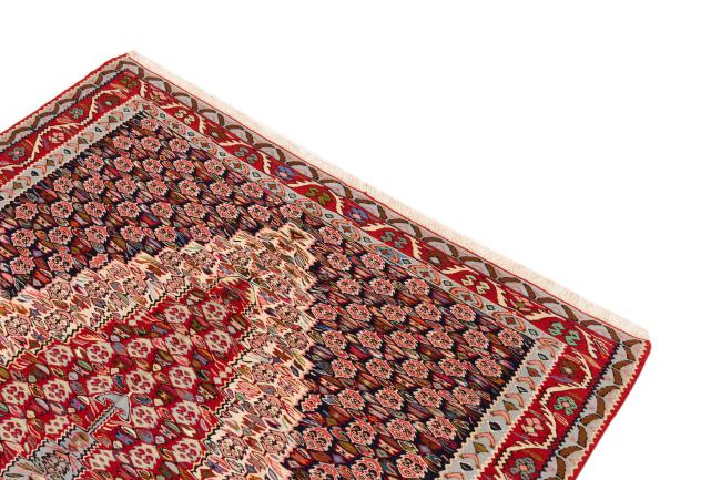 Kilim Senneh - 2