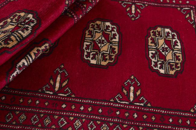 Pakistan Buchara 2ply - 2