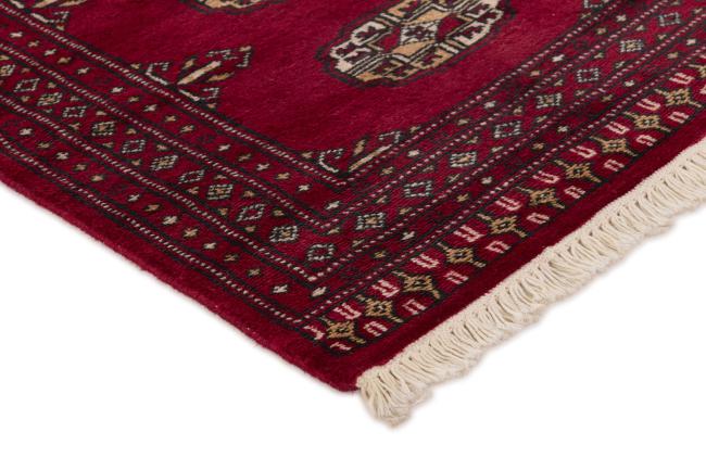 Pakistan Buchara 2ply - 3
