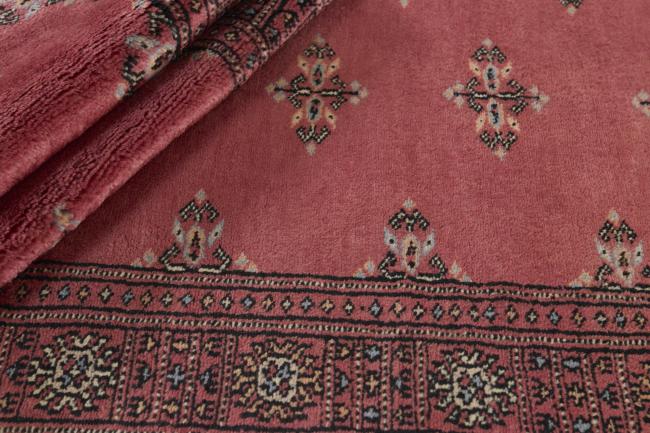 Pakistan Buchara 3ply - 2