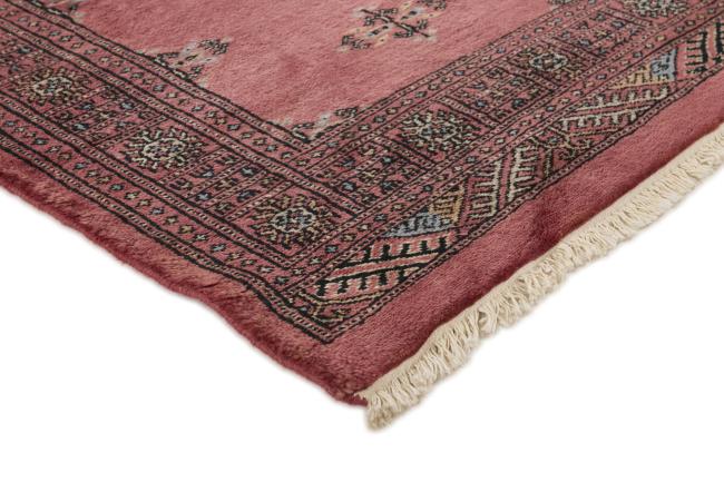 Pakistan Buchara 3ply - 3