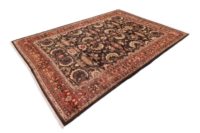Ziegler Farahan - 2