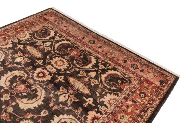 Ziegler Farahan - 3