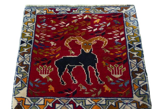 Shiraz - 3