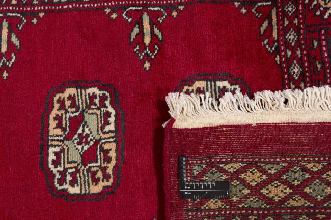 Pakistan Buchara 3ply - 1