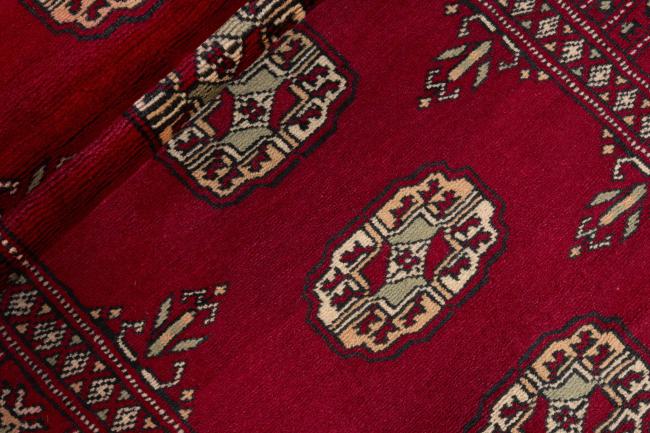 Pakistan Buchara 3ply - 2