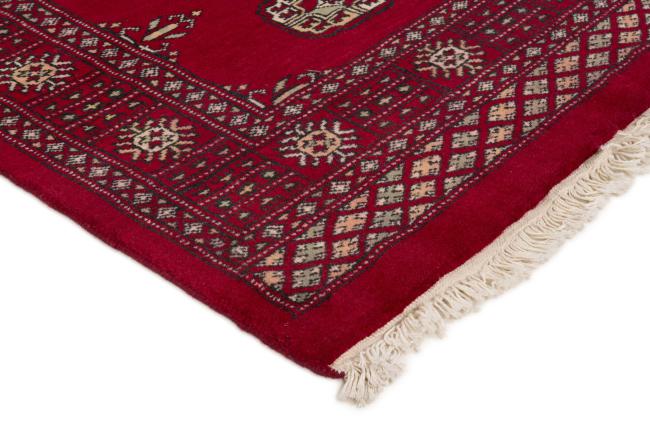 Pakistan Buchara 3ply - 3