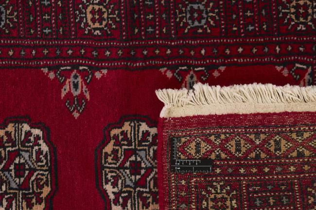Pakistan Buchara 2ply - 1