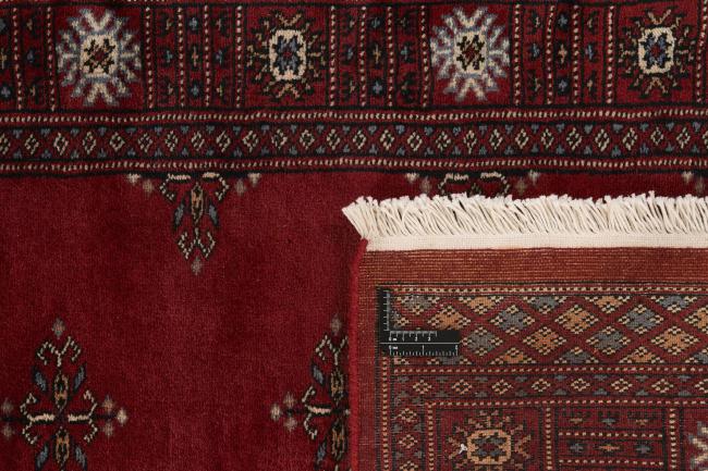 Pakistan Buchara 3ply - 1