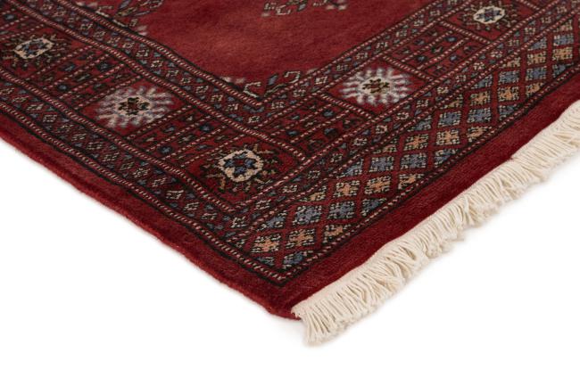 Pakistan Buchara 3ply - 3