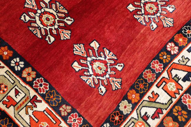 Shiraz - 5