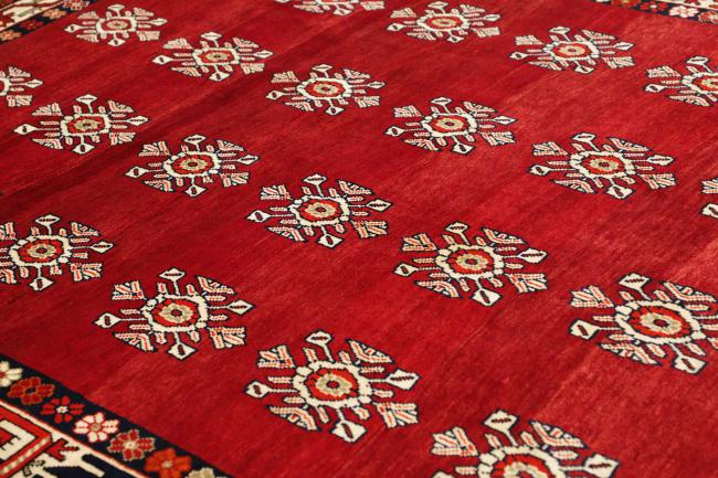 Shiraz - 6