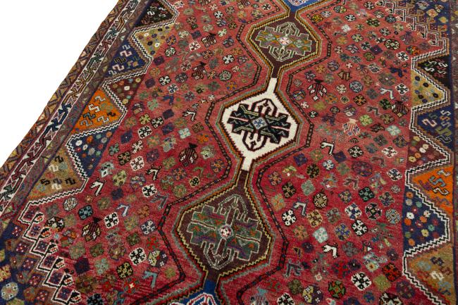 Shiraz - 4