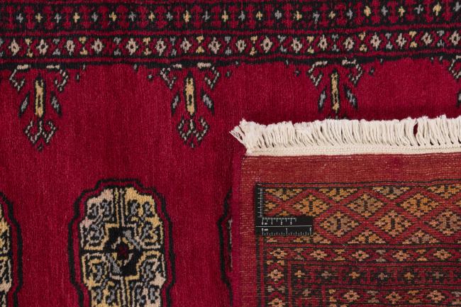 Pakistan Buchara 2ply - 1