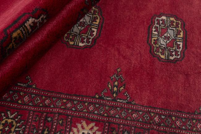 Pakistan Buchara 3ply - 2