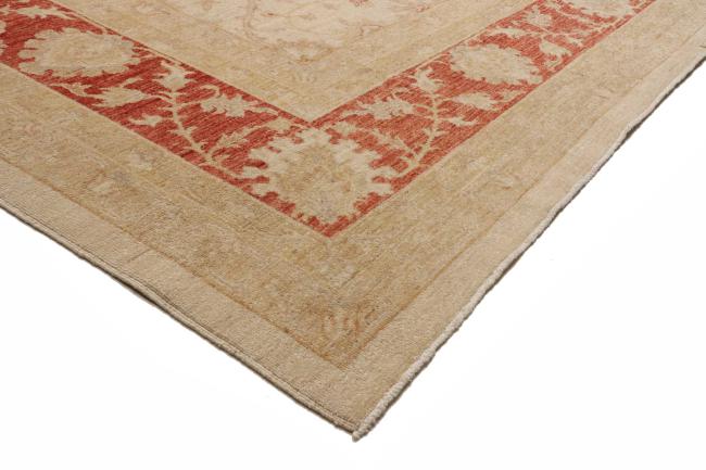 Ziegler Farahan - 6