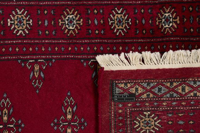 Pakistan Buchara 3ply - 1