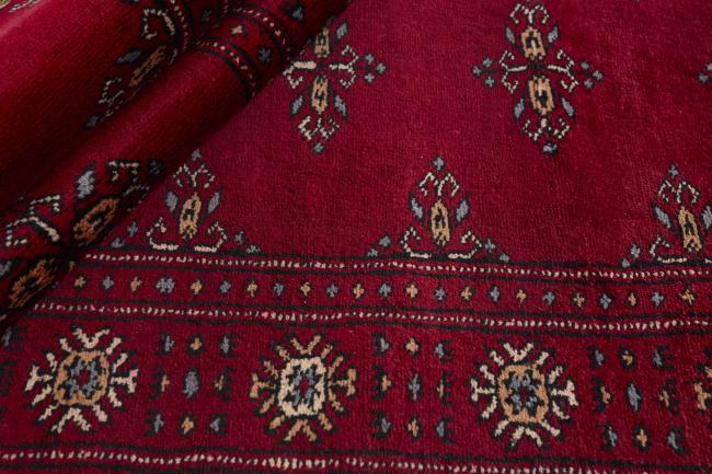 Pakistan Buchara 3ply - 2