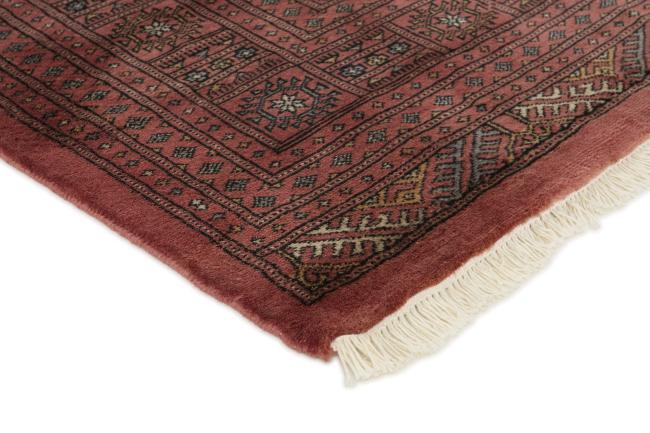 Pakistański Buchara 3ply - 3