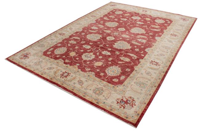 Ziegler Farahan - 1