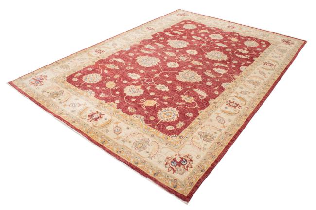 Ziegler Farahan - 2