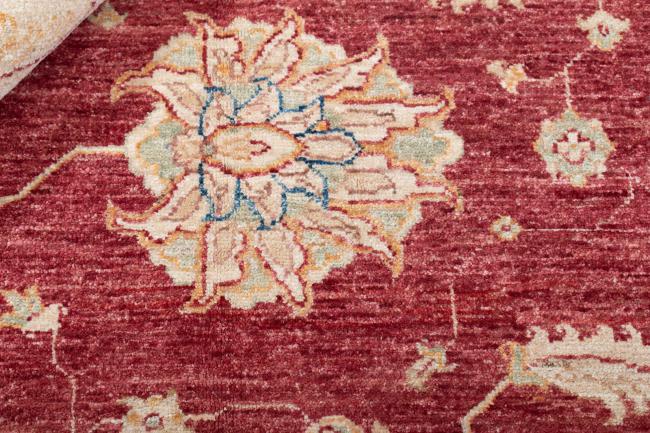 Ziegler Farahan - 4