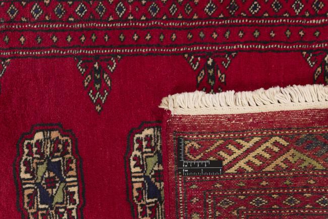 Pakistan Buchara 2ply - 1