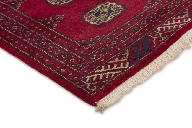 Pakistan Buchara 2ply - 3