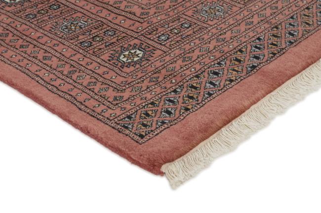 Pakistański Buchara 3ply - 3