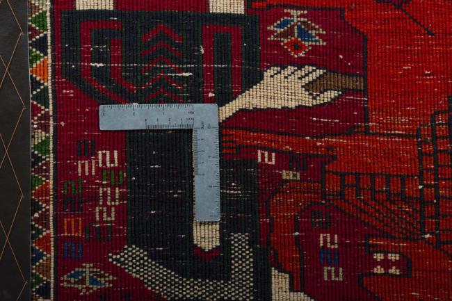 Shiraz - 4