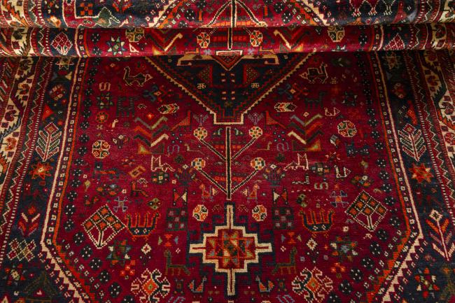 Shiraz - 8