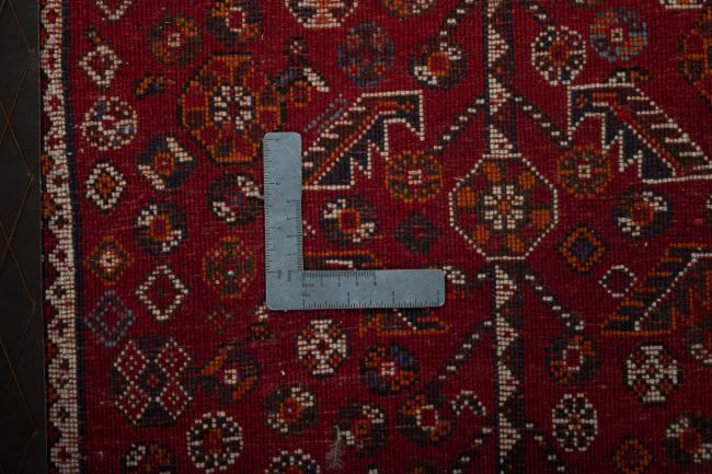 Shiraz - 4