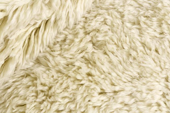 Berber Blanc - 1