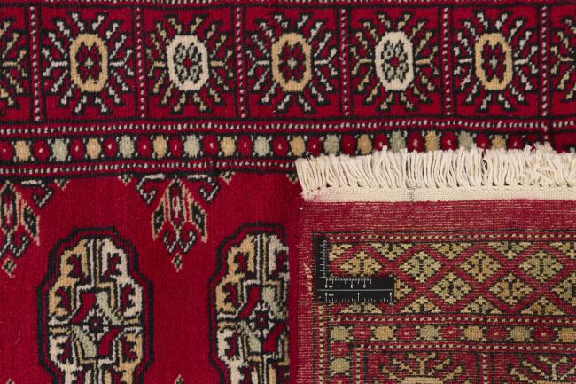 Pakistan Buchara 2ply - 1