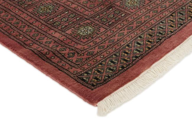 Pakistański Buchara 3ply - 3