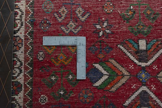 Shiraz - 4