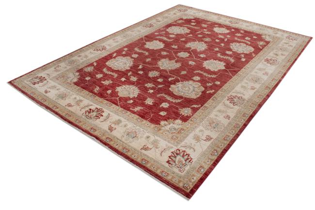 Ziegler Farahan - 1