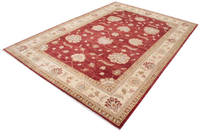 Ziegler Farahan - 2