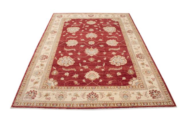 Ziegler Farahan - 3