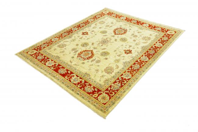 Arijana Ziegler Farahan - 1