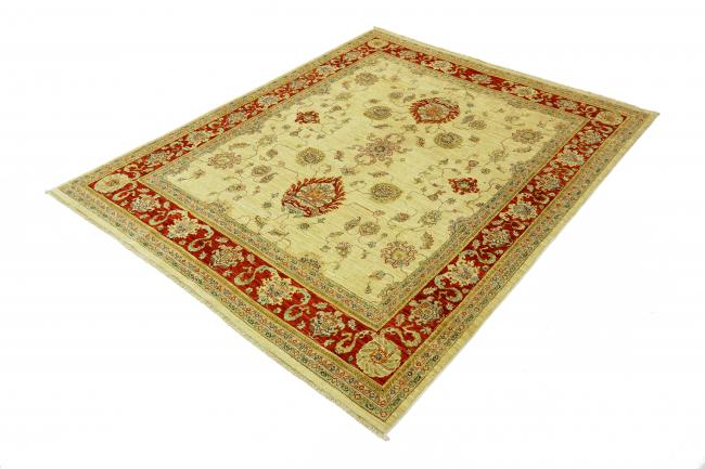 Arijana Ziegler Farahan - 2