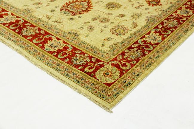 Arijana Ziegler Farahan - 3