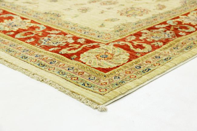 Arijana Ziegler Farahan - 4