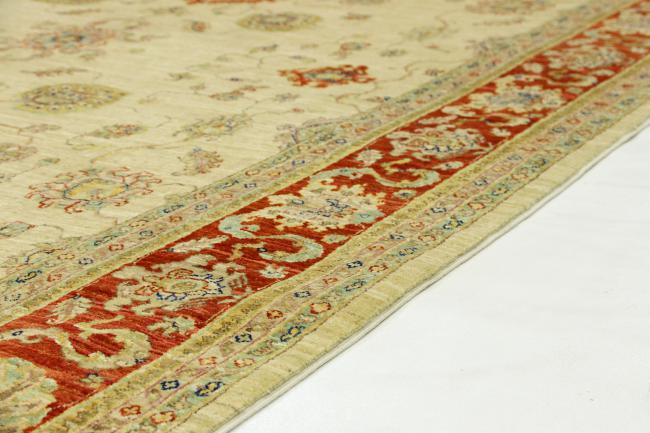 Arijana Ziegler Farahan - 5